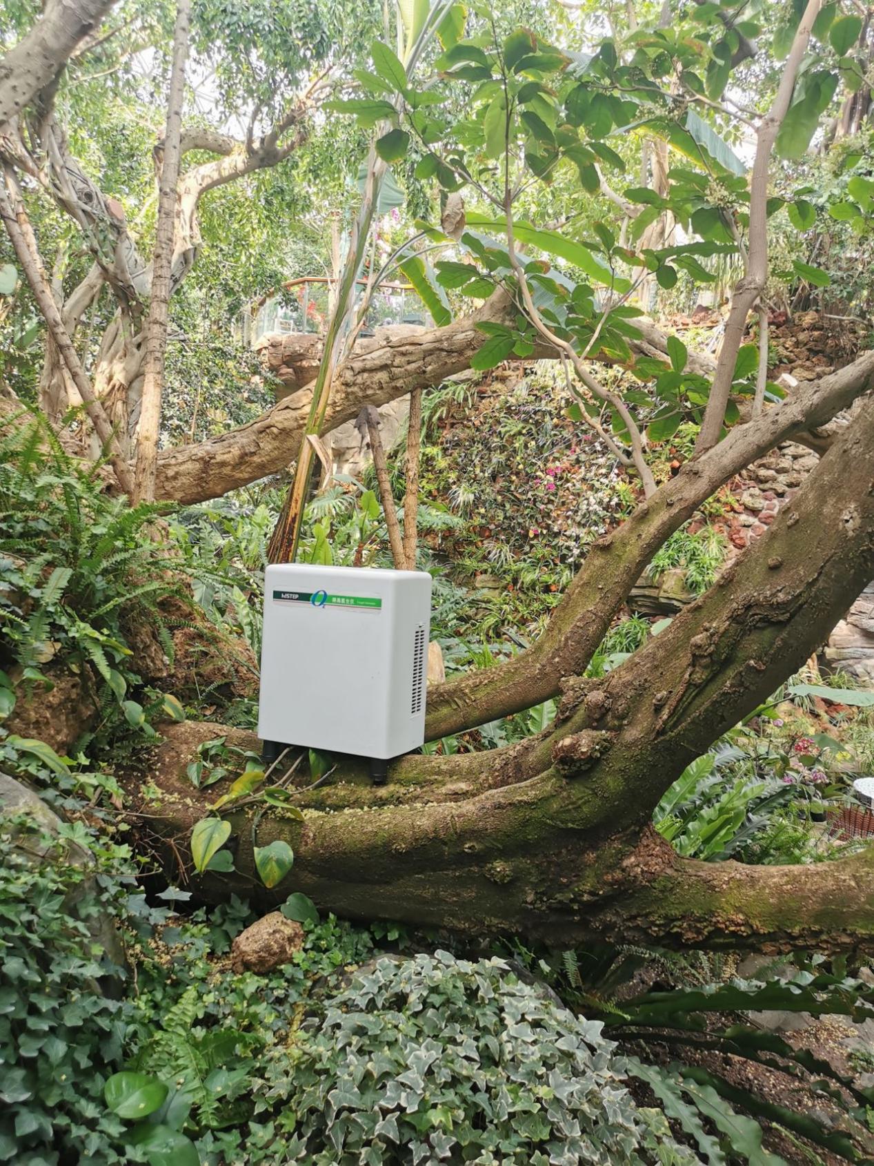 居家也要暢快呼吸，得高教你實現(xiàn)科學補氧！ image3