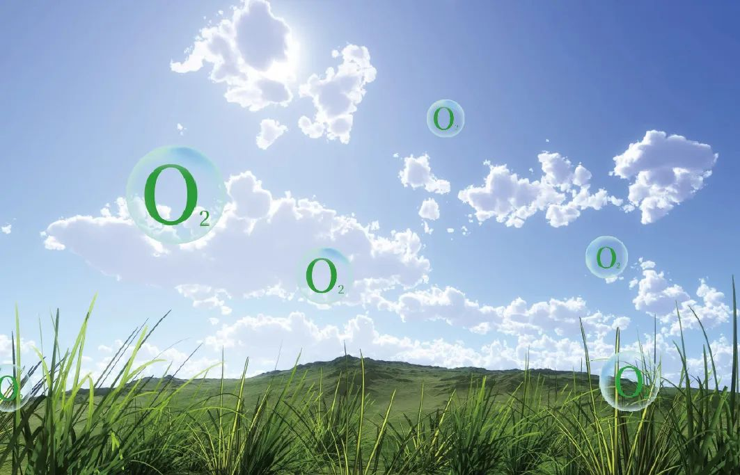 因愛而生,富氧中國|得高以氧創有夢未來 4 因愛而生,富氧中國|得高以氧創有夢未來 4